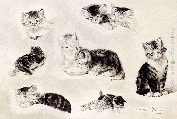 A Study Of Cats Drinking, Sleeping And Playing painting - Henriette Ronner-Knip A Study Of Cats Drinking, Sleeping And Playing art painting